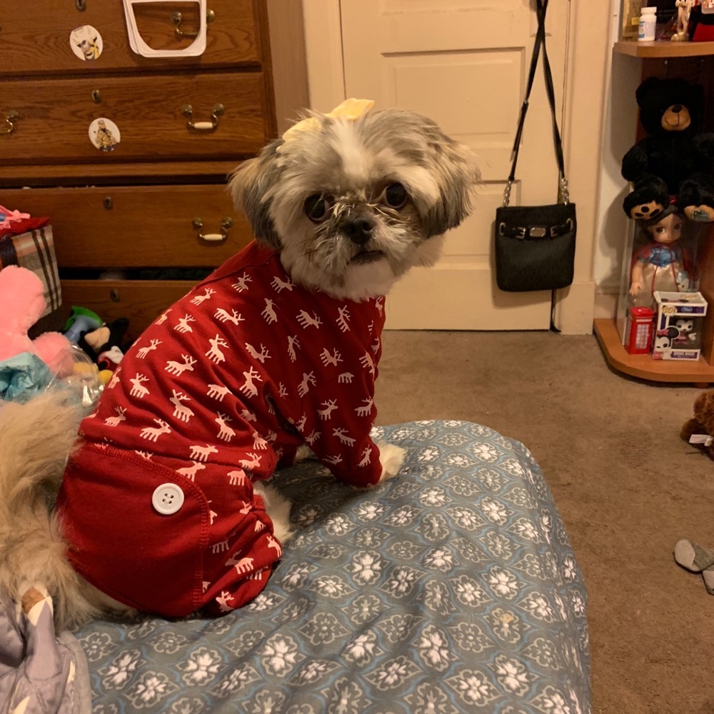 Dog pj onesie